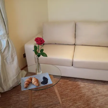 Отель Park 4*