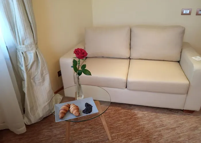 酒店 中央公园酒店 4*